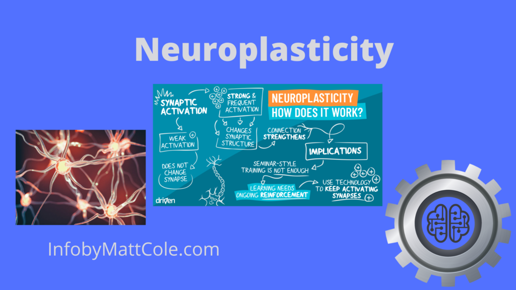 neuroplasticity